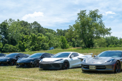 2026 JuneTeenth Cruise
