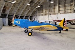Wings and Wheels 2021
